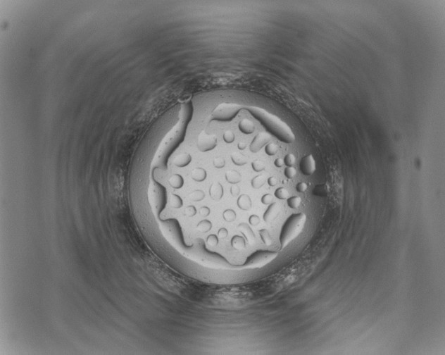 X0000072510657200608041507