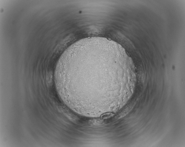 X0000072510660200608041508