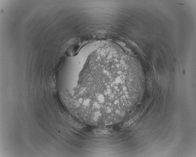 X0000072510661200608041508