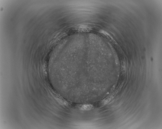 X0000072510663200608041508