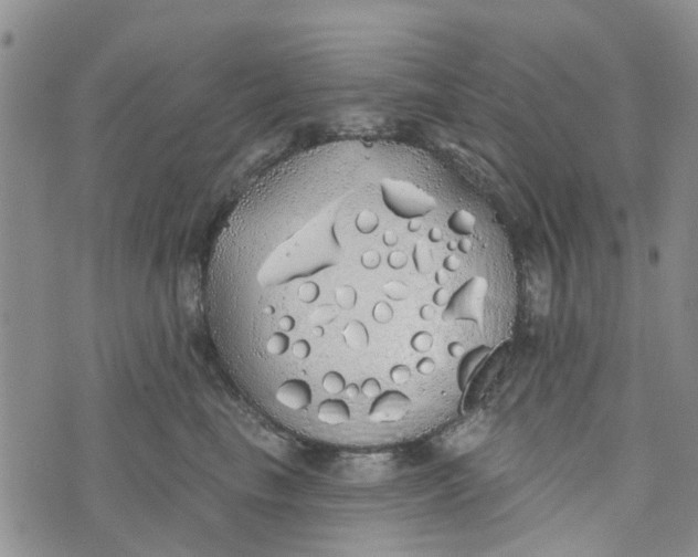 X0000072510665200608041508