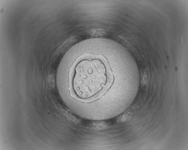 X0000072510666200608041508