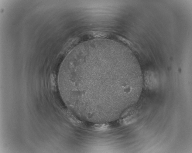 X0000072510667200608041508