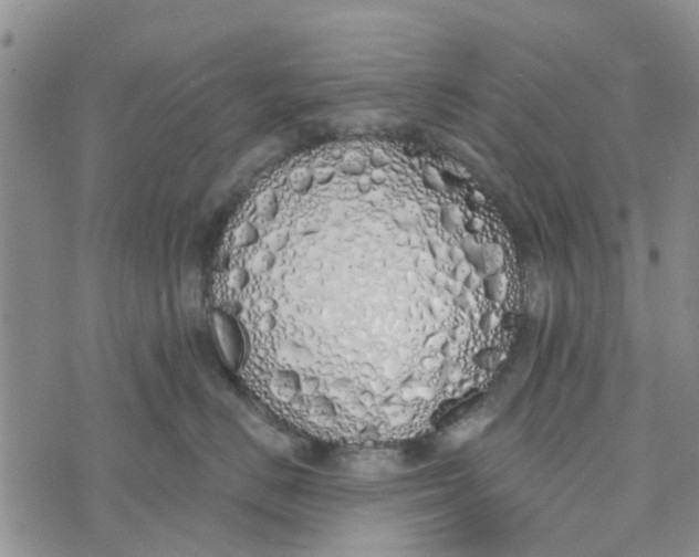 X0000072510670200608041508