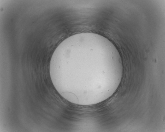 X0000072510672200608041508