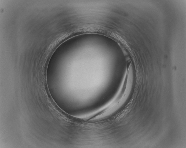 X0000072510673200608041507