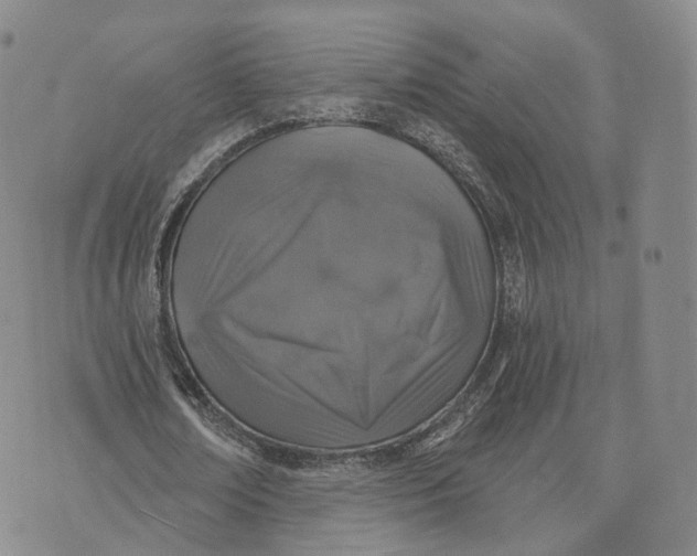 X0000072510674200608041507