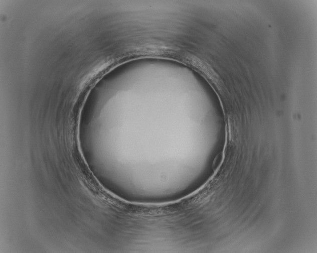 X0000072510675200608041507