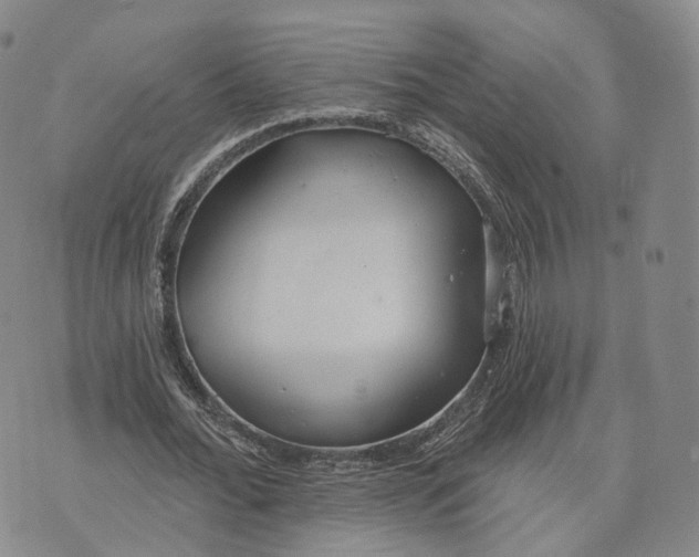 X0000072510676200608041507