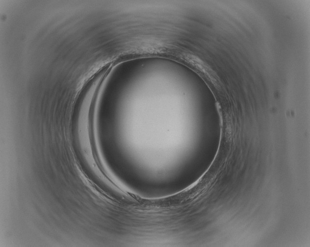 X0000072510677200608041507