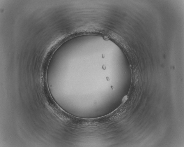 X0000072510680200608041507