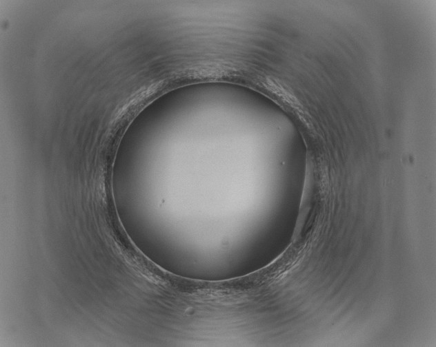 X0000072510681200608041507