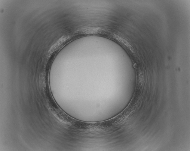 X0000072510682200608041507