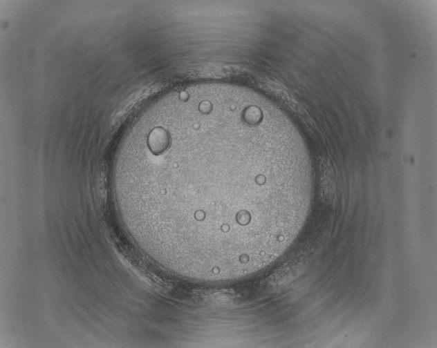 X0000072510683200608041507