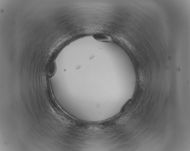 X0000072510684200608041507