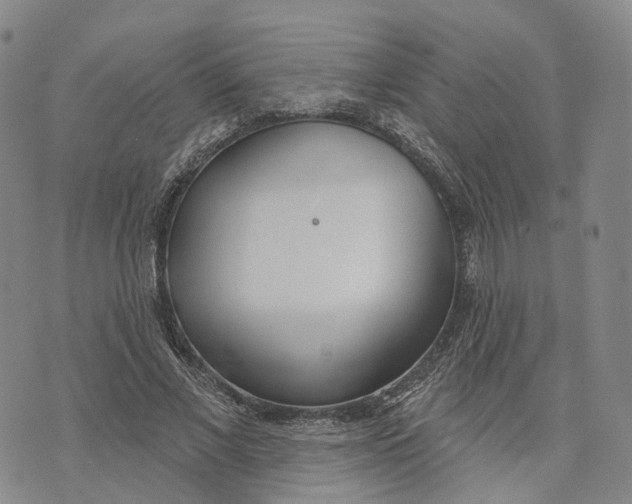 X0000072510685200608041507