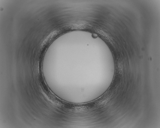 X0000072510686200608041507