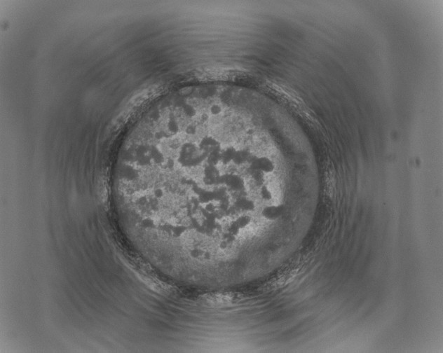 X0000072510687200608041507