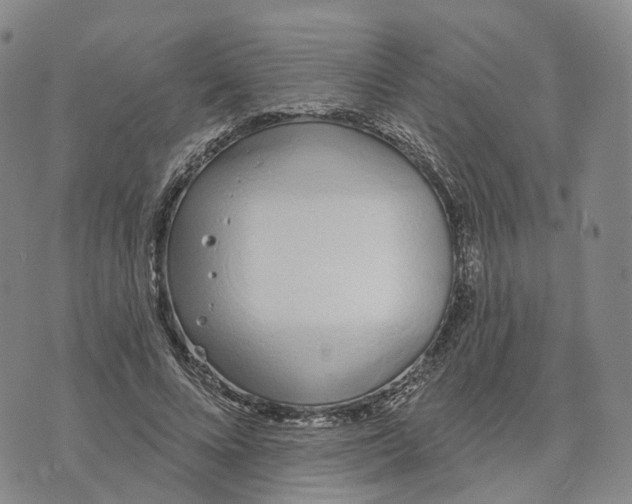 X0000072510688200608041507