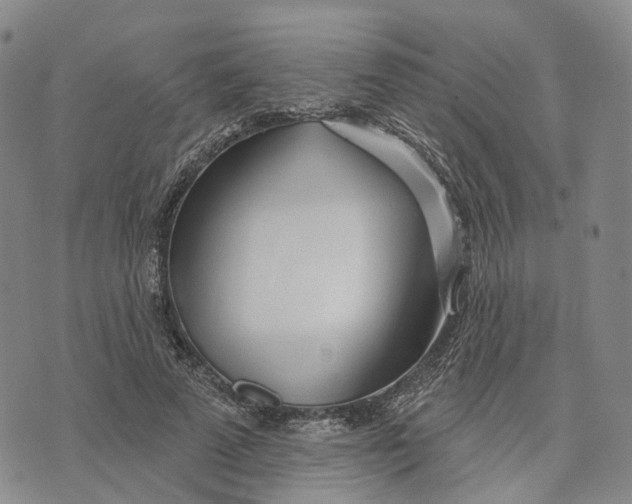 X0000072510689200608041507