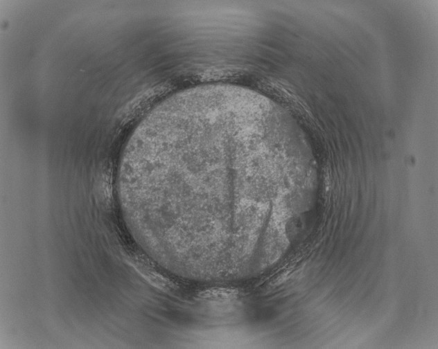 X0000072510691200608041507