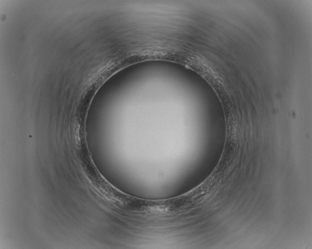 X0000072510692200608041507