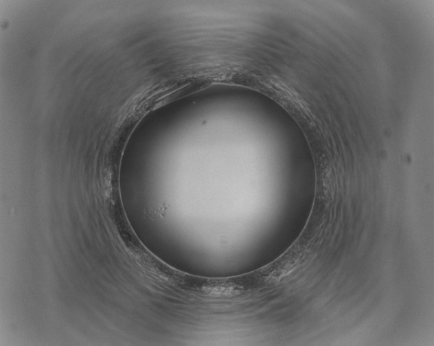 X0000072510693200608041507