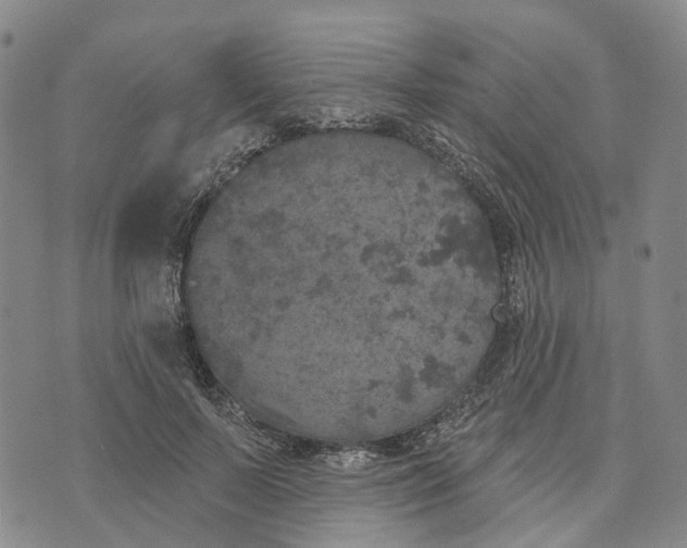 X0000072510695200608041507