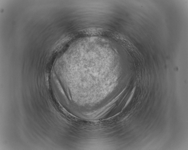 X0000072510696200608041507