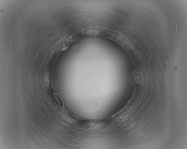 X0000072510697200608041507