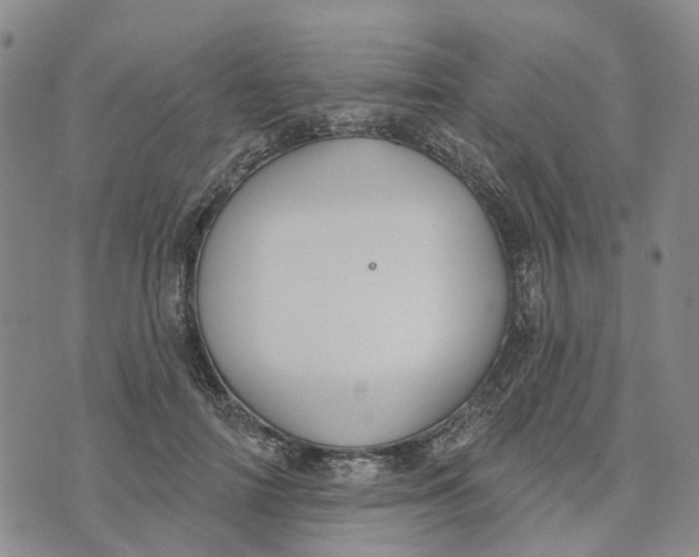 X0000072510698200608041507