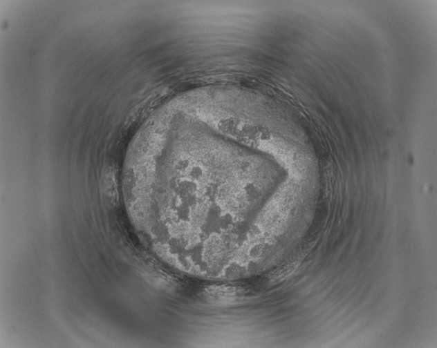 X0000072510699200608041507