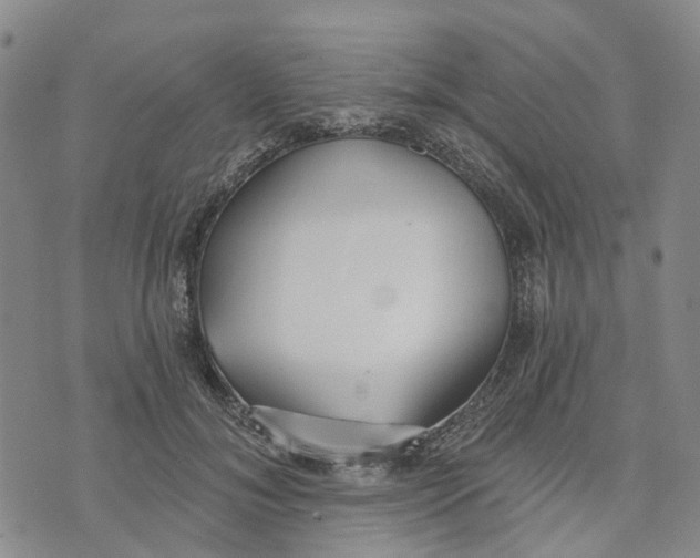 X0000072510700200608041507