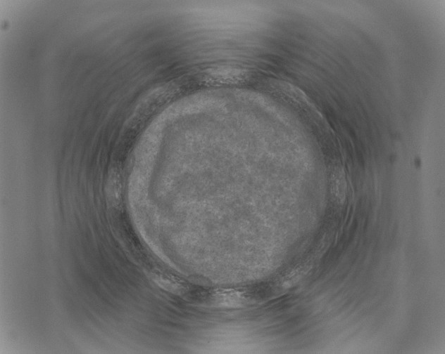 X0000072510701200608041506