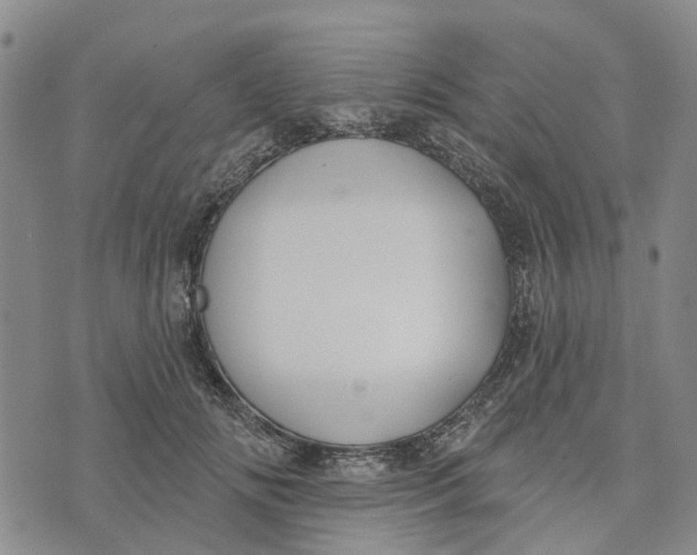 X0000072510702200608041506