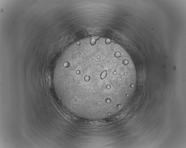 X0000072510703200608041506