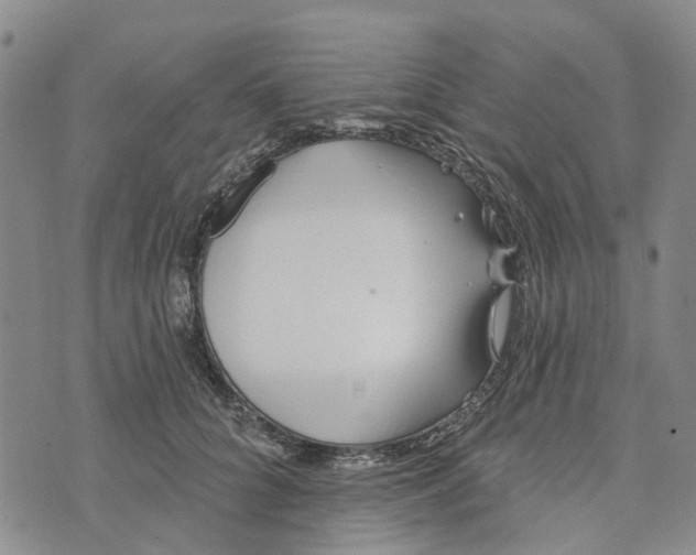 X0000072510704200608041506