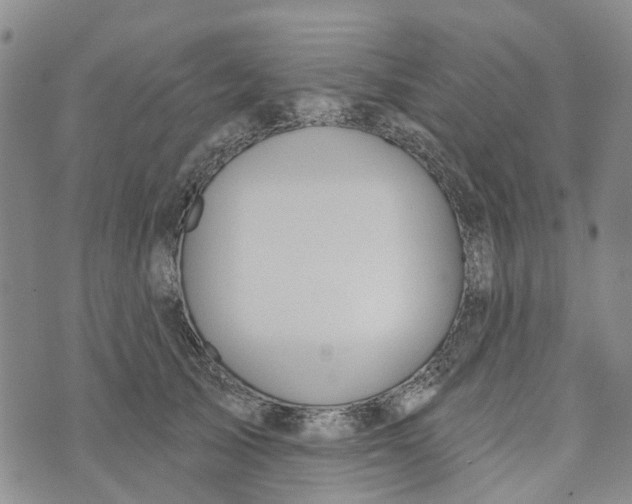 X0000072510705200608041506