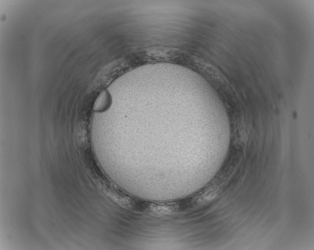 X0000072510706200608041506