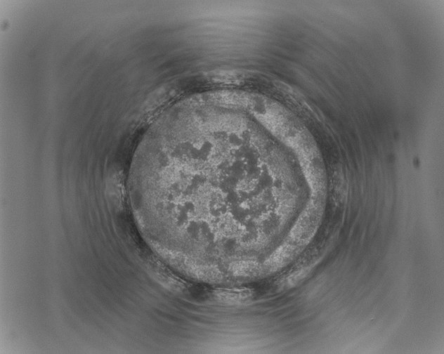 X0000072510707200608041506