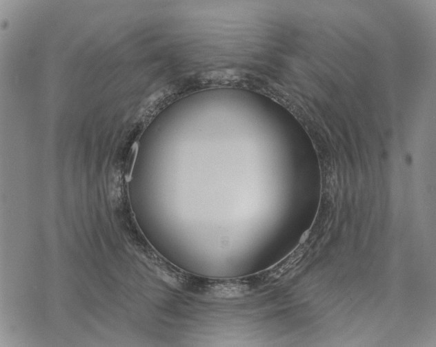 X0000072510708200608041506