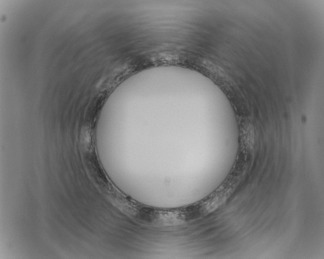 X0000072510709200608041506