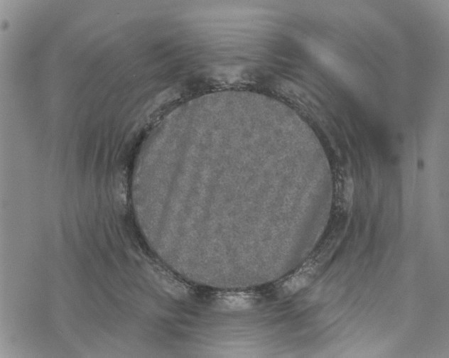 X0000072510710200608041506