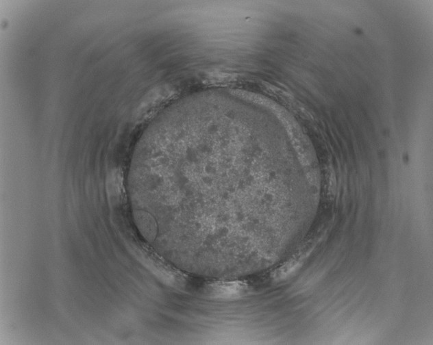 X0000072510711200608041506