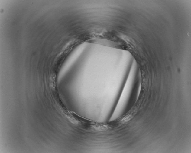 X0000072510712200608041506