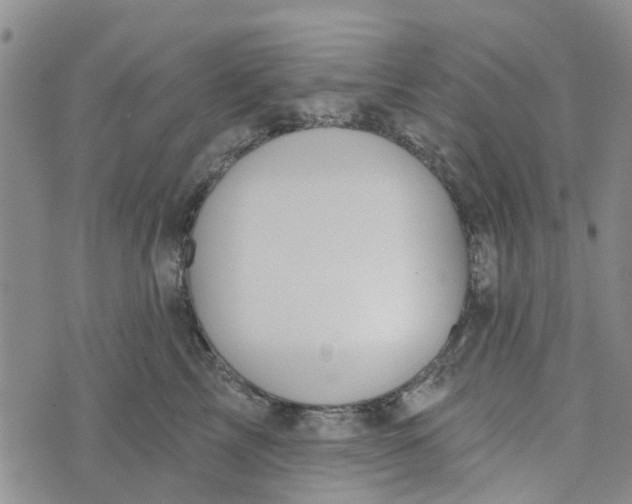 X0000072510713200608041506