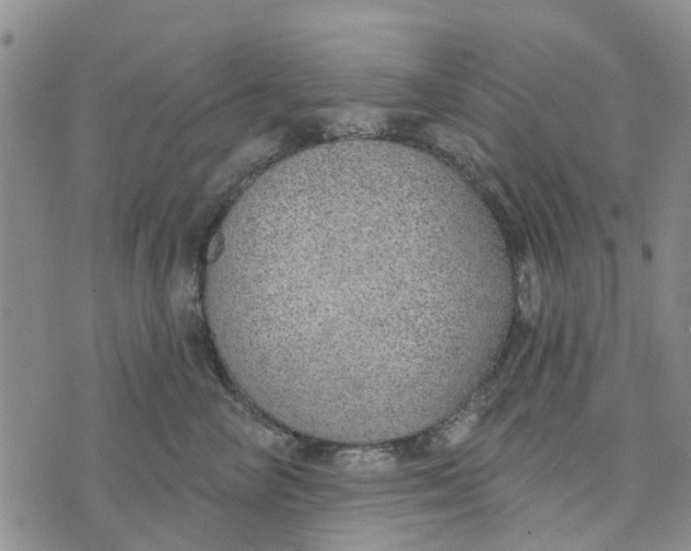 X0000072510714200608041506