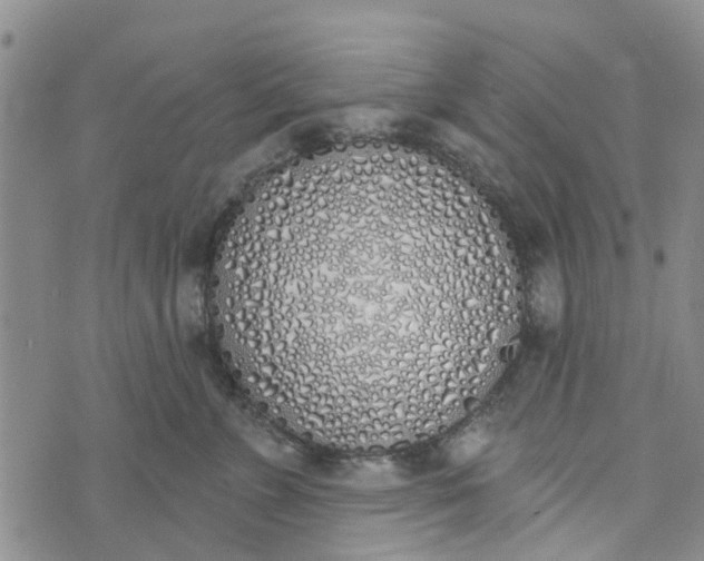 X0000072510715200608041506