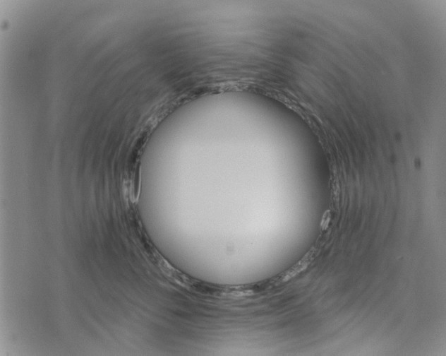 X0000072510716200608041506