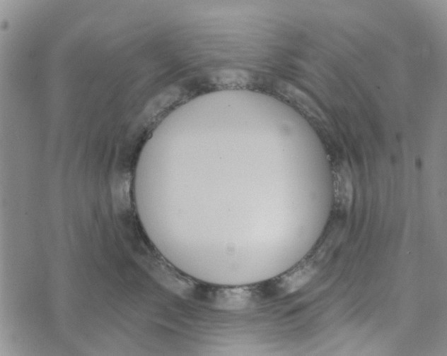 X0000072510717200608041506